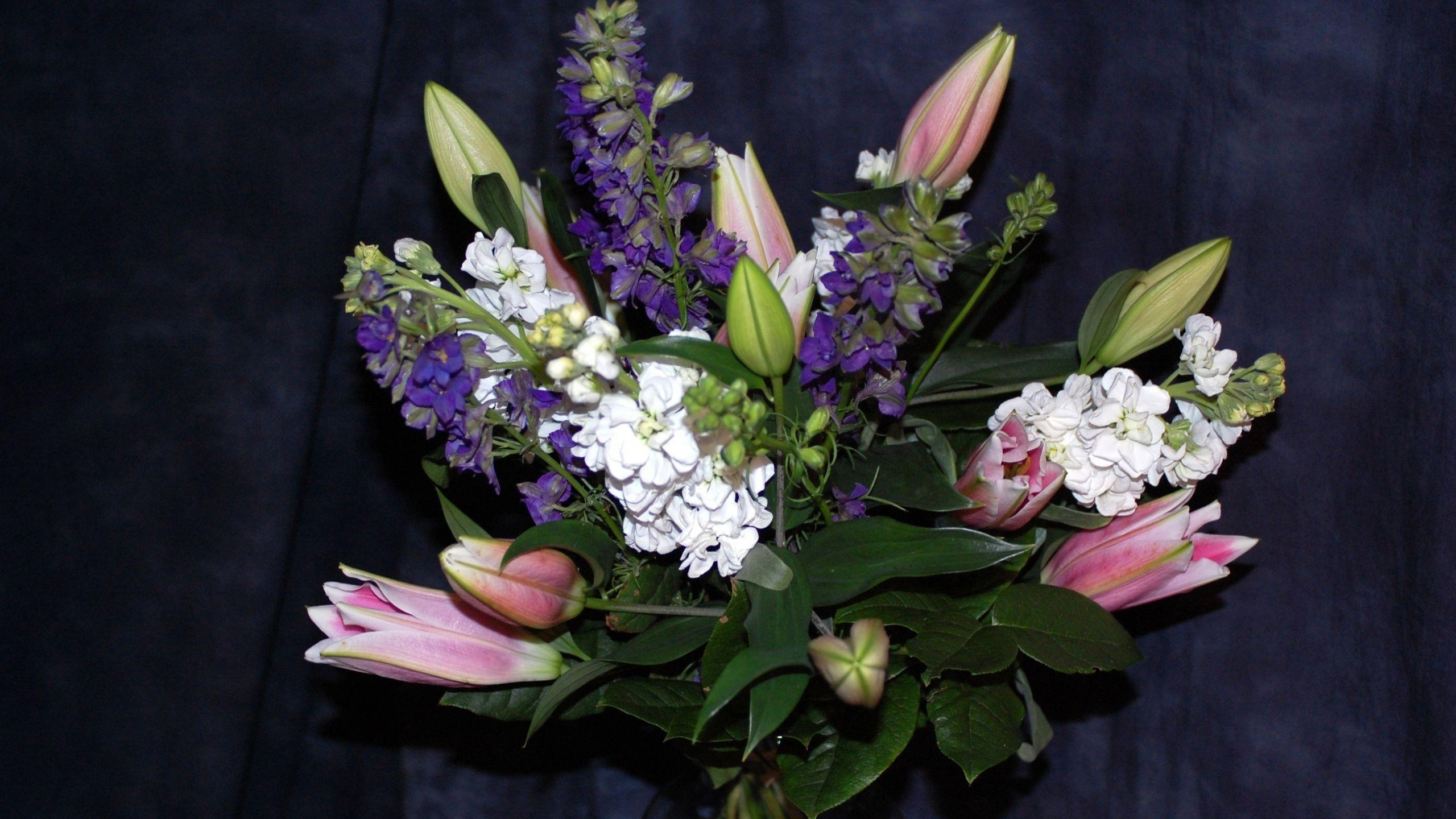 White and Purple Flower Bouquet. Wallpaper in 2560x1440 Resolution