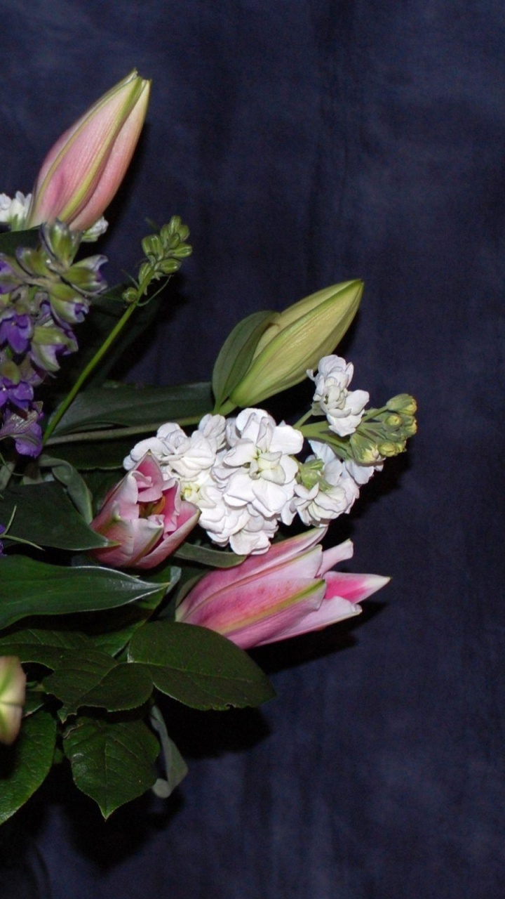 White and Purple Flower Bouquet. Wallpaper in 720x1280 Resolution