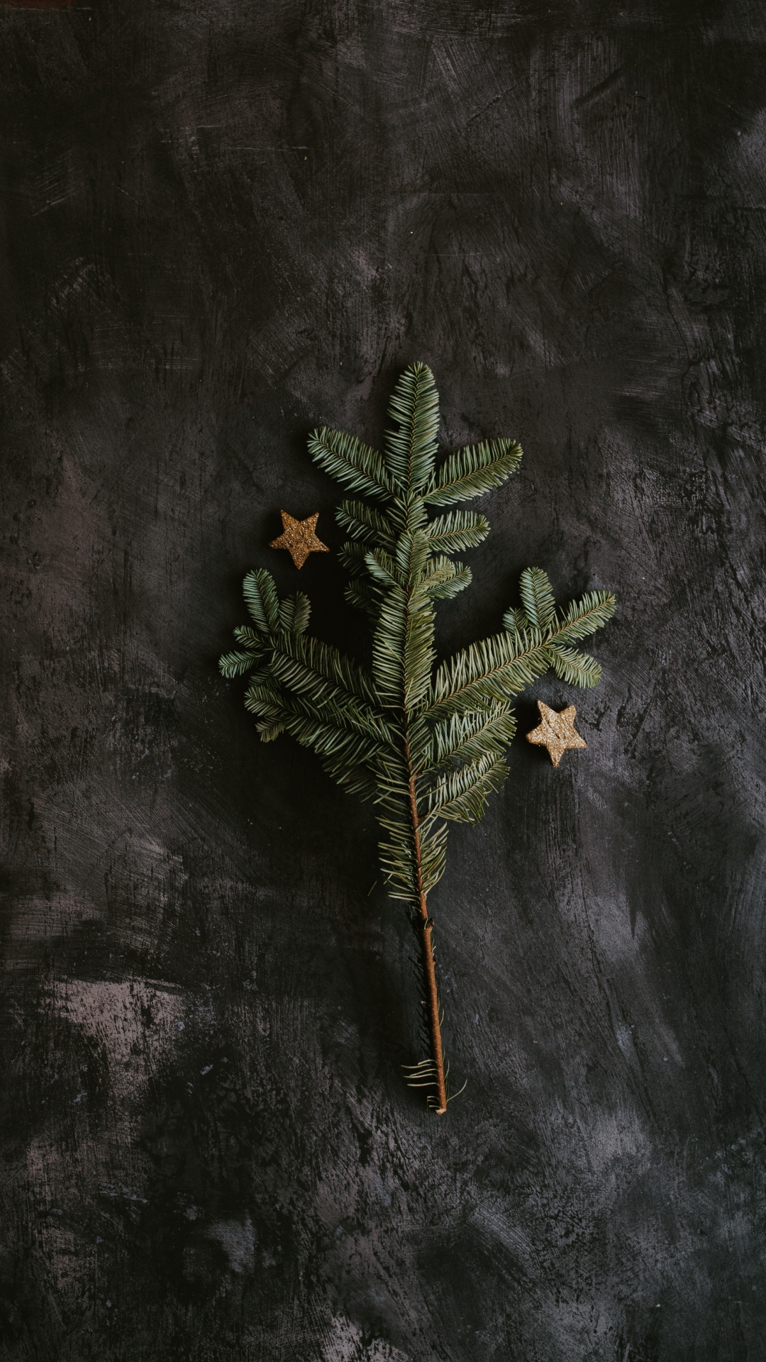 Green and Brown Plant on Black Surface. Wallpaper in 1080x1920 Resolution