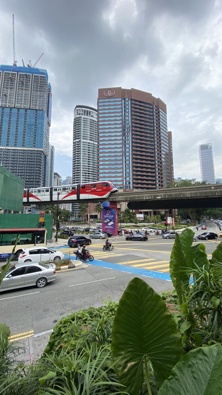 棕榈树, 塔块, 大都会, 城市景观, 城市 壁纸 750x1334 允许