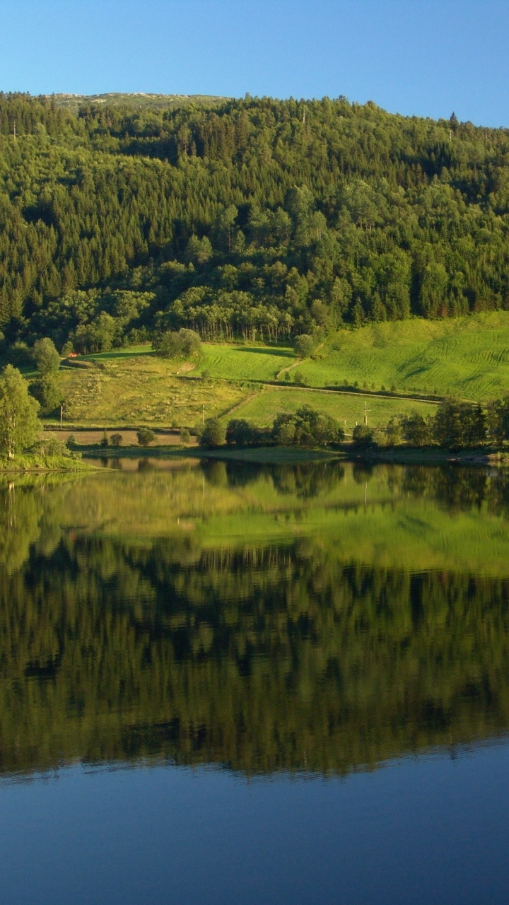 Campo de Hierba Verde Cerca Del Lago Durante el Día. Wallpaper in 720x1280 Resolution
