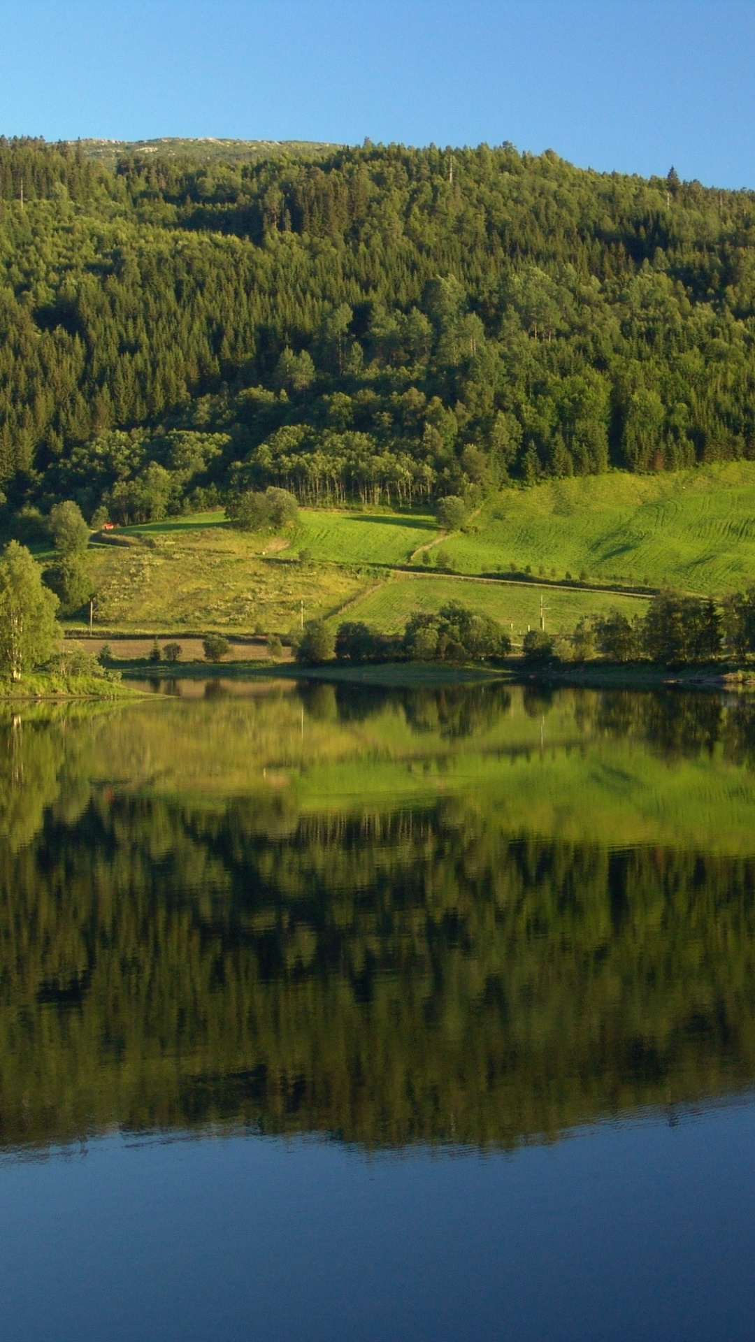 Green Grass Field Near Lake During Daytime. Wallpaper in 1080x1920 Resolution