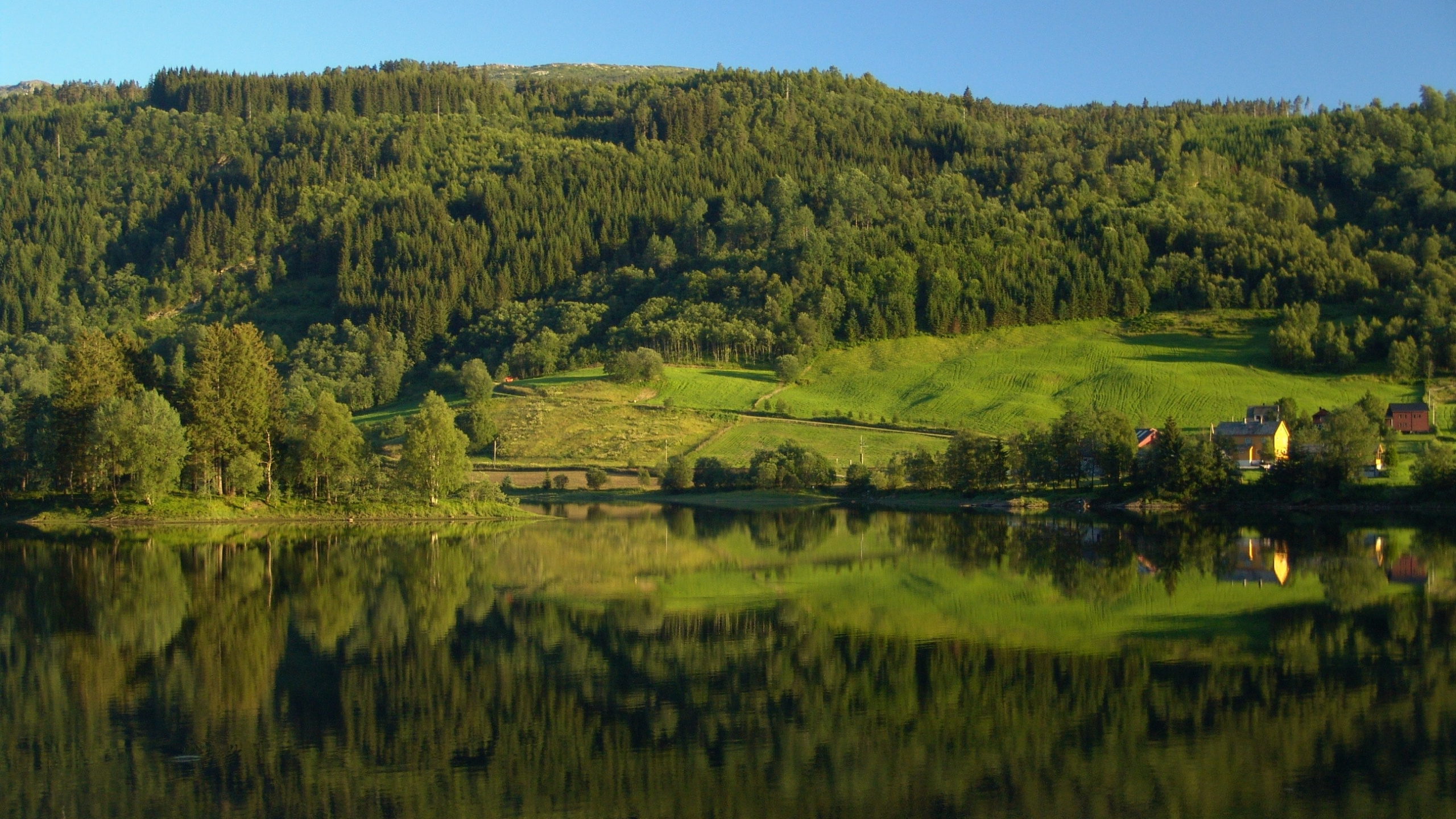 Green Grass Field Near Lake During Daytime. Wallpaper in 2560x1440 Resolution