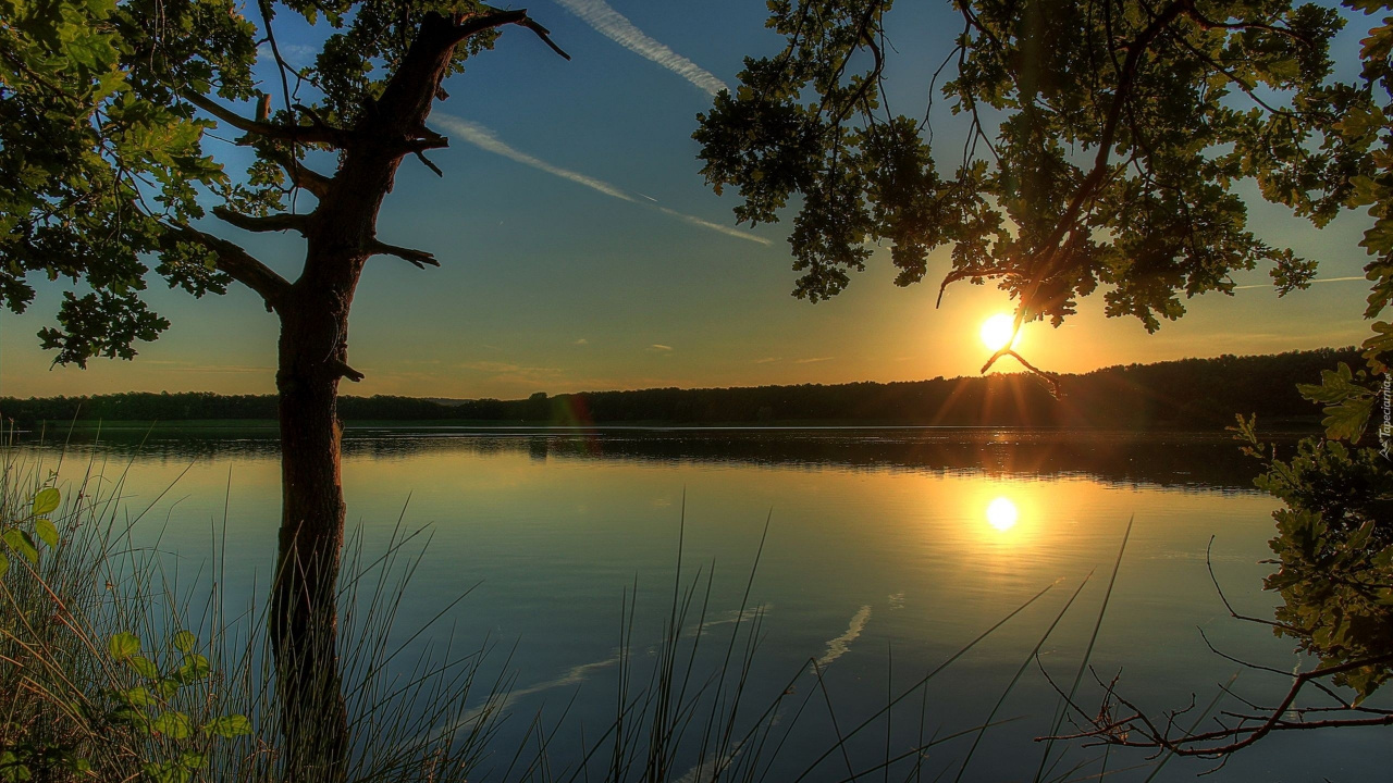 Green Tree Near Body of Water During Sunset. Wallpaper in 1280x720 Resolution