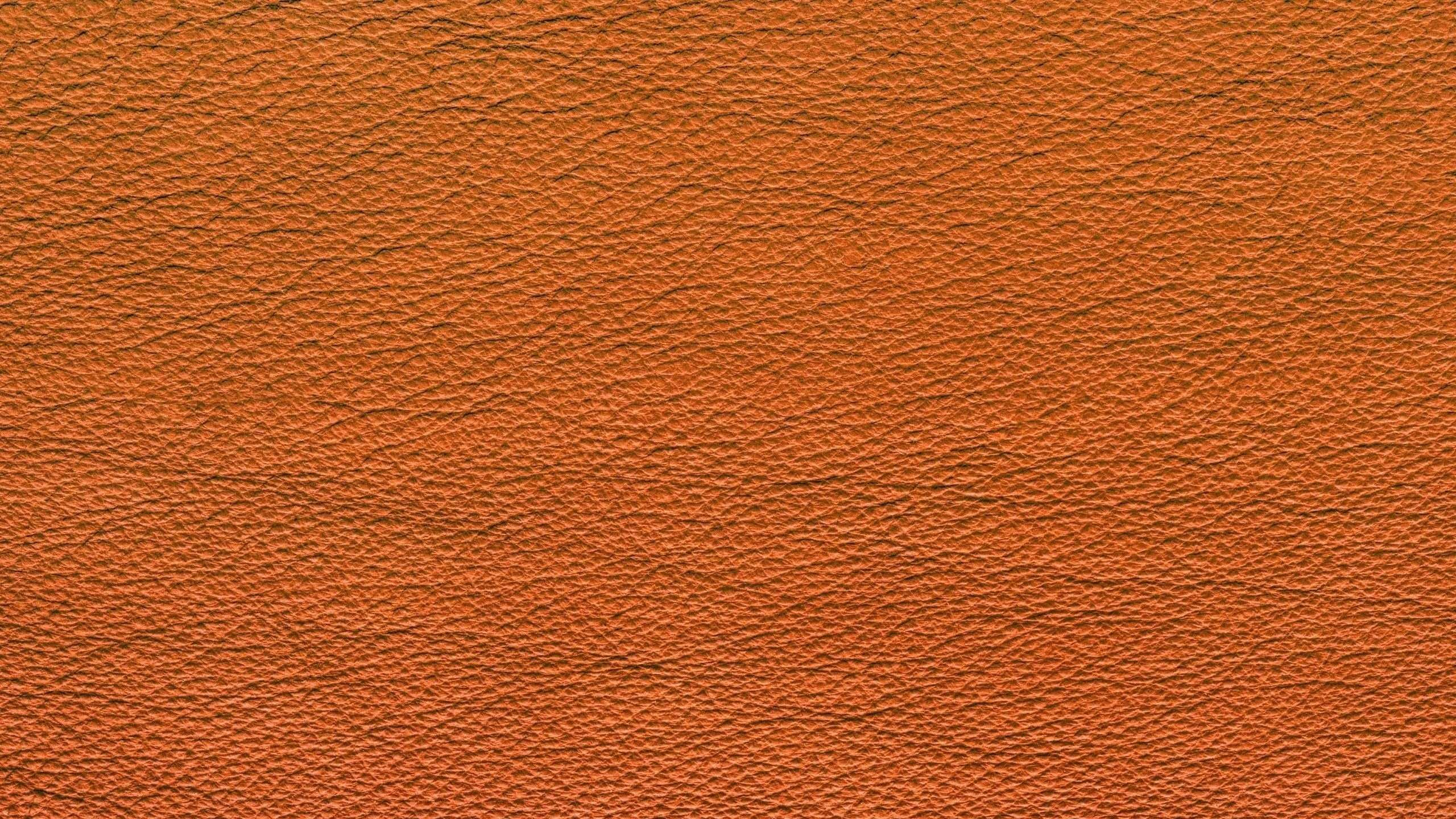 Orange Und Weiß Gestrichene Wand. Wallpaper in 2560x1440 Resolution