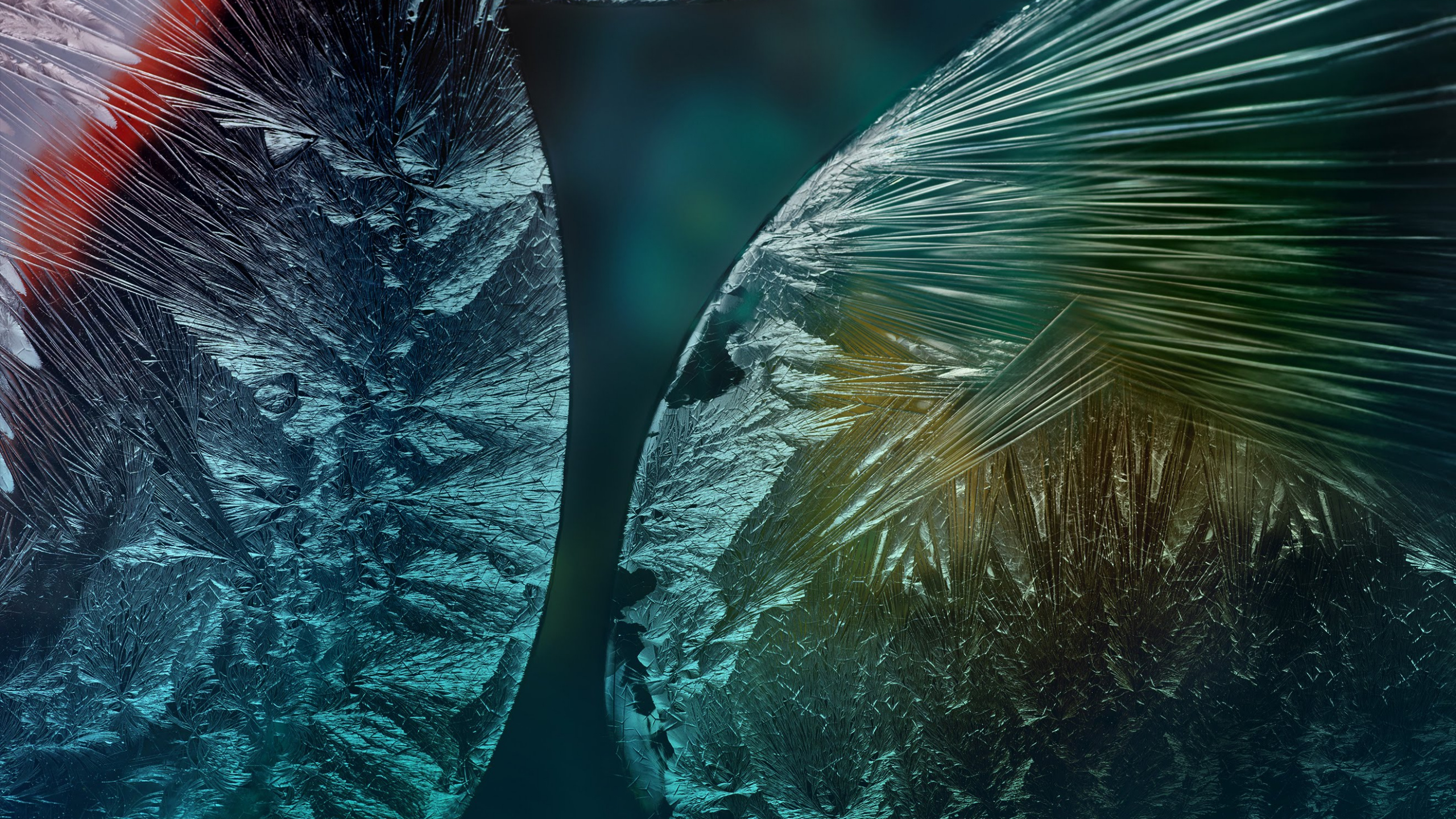 Huawei, Huawei P40 Pro, Huawei P40, Huawei P30 Pro, Smartphone. Wallpaper in 2560x1440 Resolution