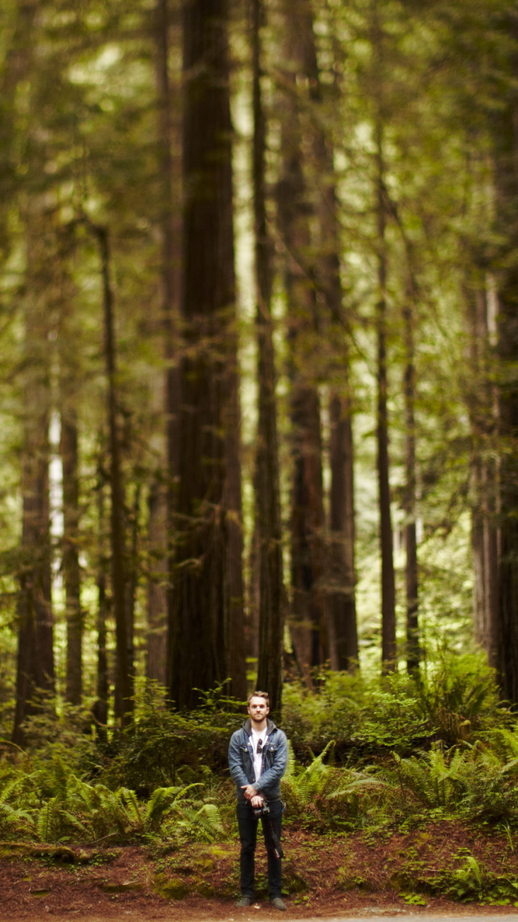 Person in Blue Jacket Walking on Forest During Daytime. Wallpaper in 750x1334 Resolution