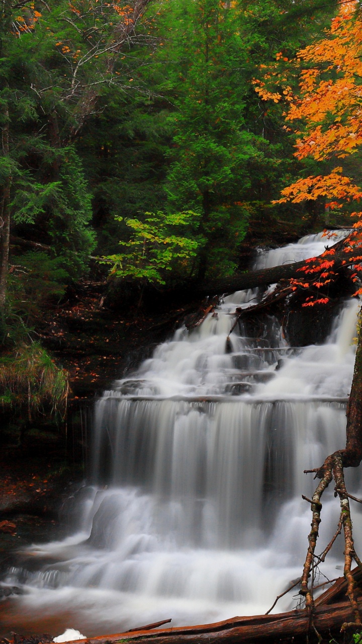 Wasser, Wasserfall, Baum, Herbst, Plitvicer Seen National Park. Wallpaper in 720x1280 Resolution
