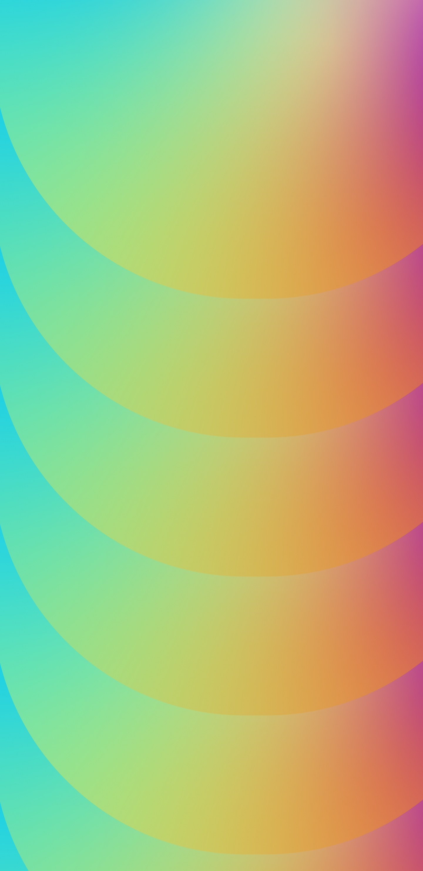 Orange, Colorfulness, Material Property, Tints and Shades, Electric Blue. Wallpaper in 1440x2960 Resolution