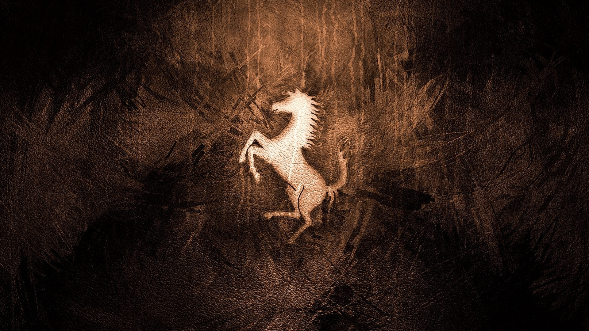 Squelette de Dinosaure Blanc et Marron. Wallpaper in 1920x1080 Resolution