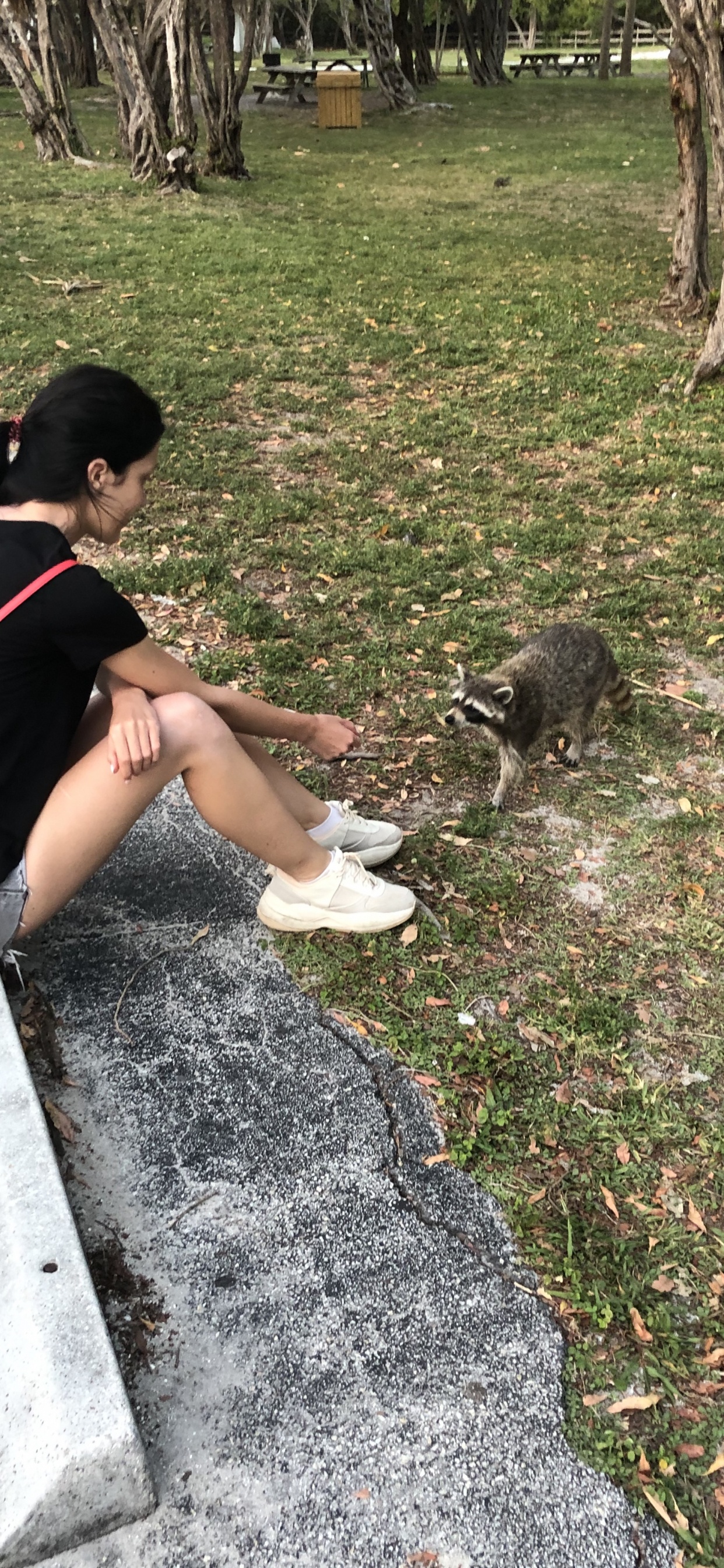 Chien, Biologie, Sciences, L'homme, Plantes Ligneuses. Wallpaper in 1242x2688 Resolution