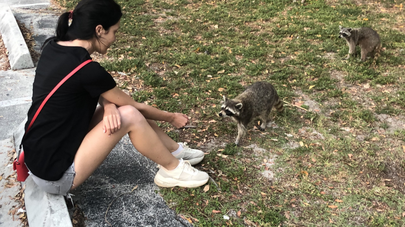 Chien, Biologie, Sciences, L'homme, Plantes Ligneuses. Wallpaper in 1366x768 Resolution