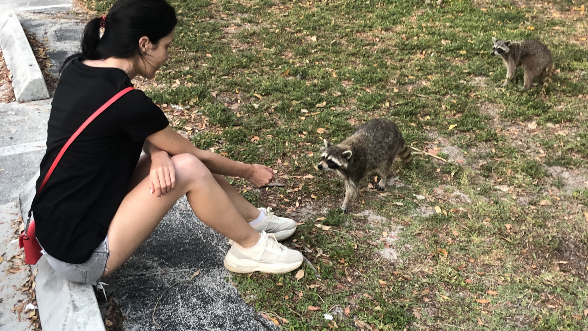 Chien, Biologie, Sciences, L'homme, Plantes Ligneuses. Wallpaper in 1920x1080 Resolution