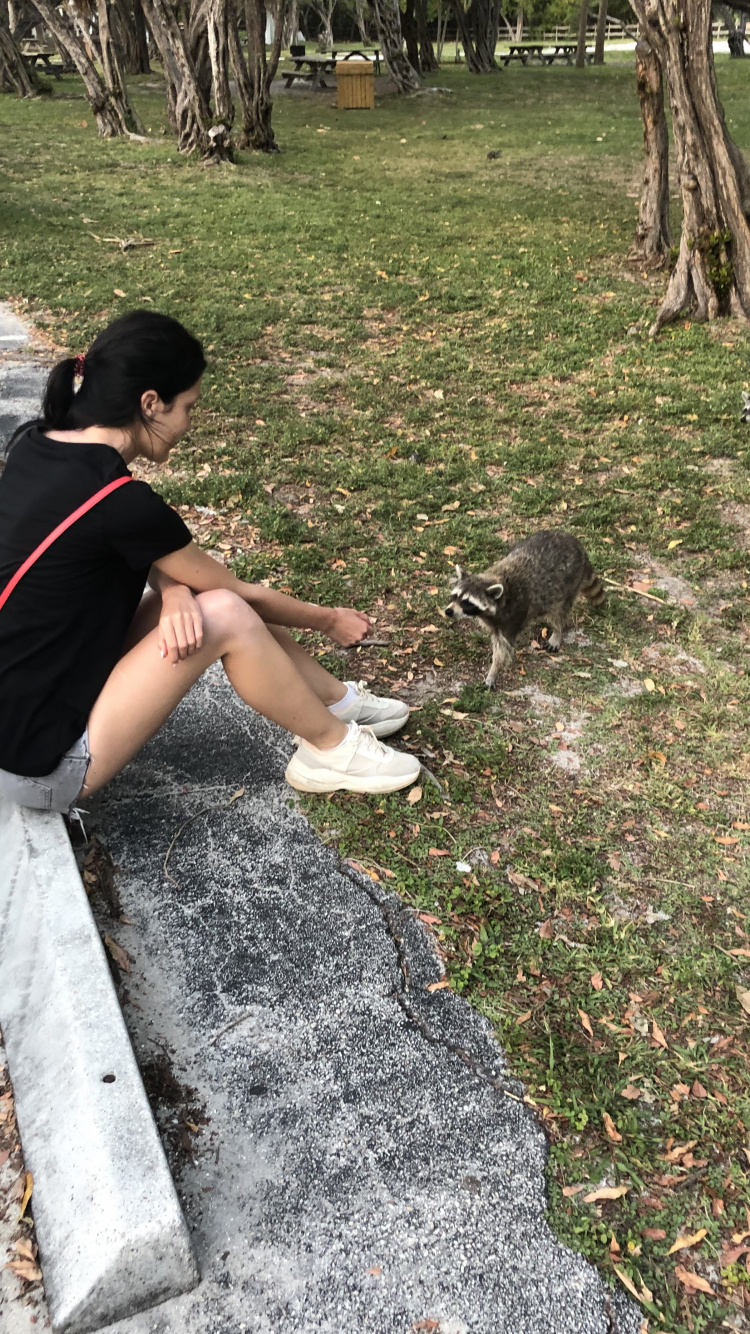 Perro, Biología, Ciencia, Humanos, Planta Leñosa. Wallpaper in 750x1334 Resolution