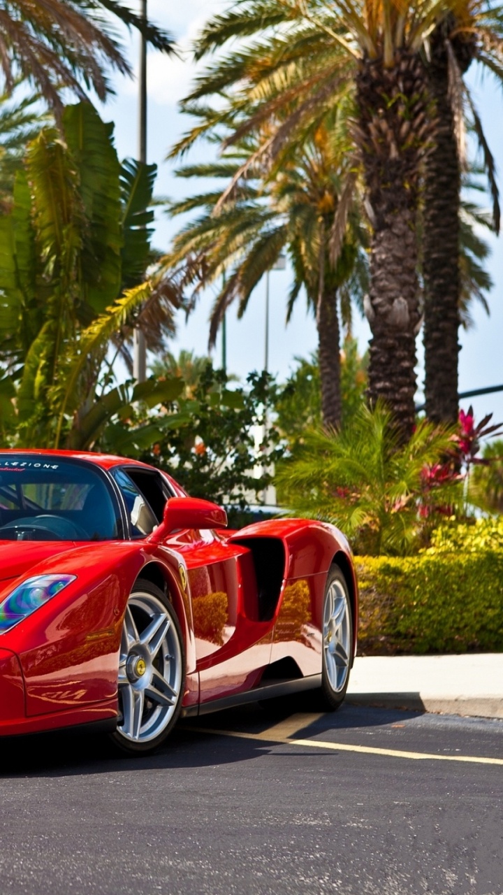Red Ferrari 458 Italia on Road Near Palm Trees During Daytime. Wallpaper in 720x1280 Resolution
