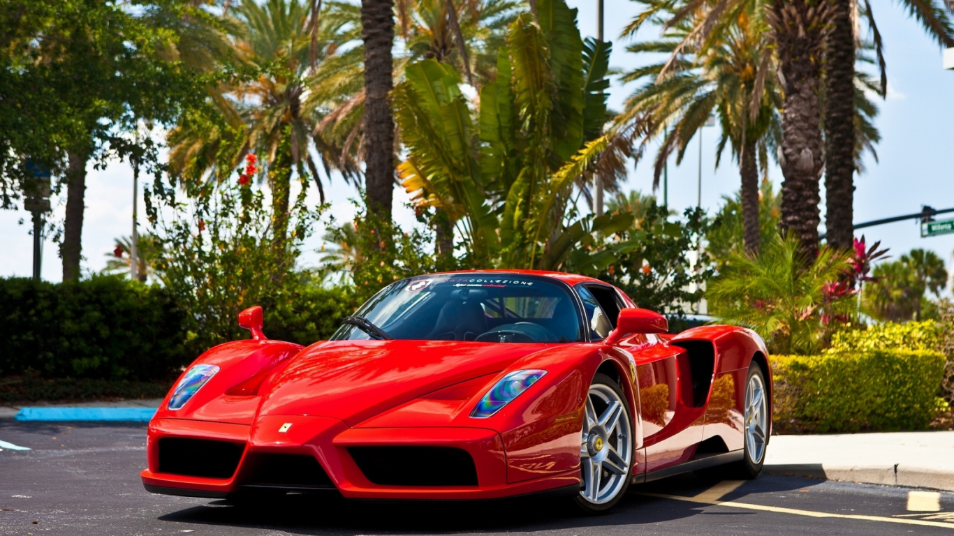 Roter Ferrari 458 Italia Unterwegs in Der Nähe Von Palmen Tagsüber. Wallpaper in 1366x768 Resolution