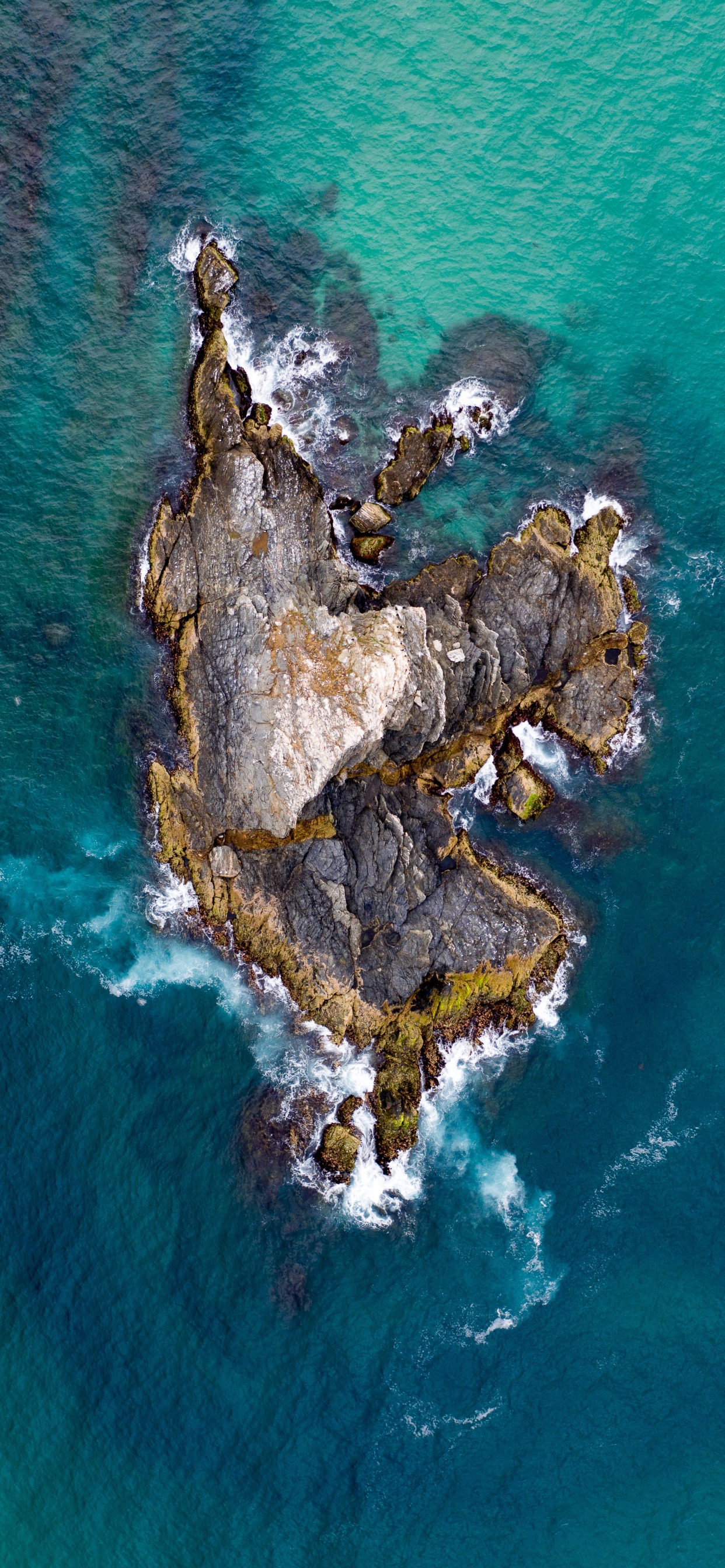 Water, World, Rock, Sea, Tree. Wallpaper in 1242x2688 Resolution