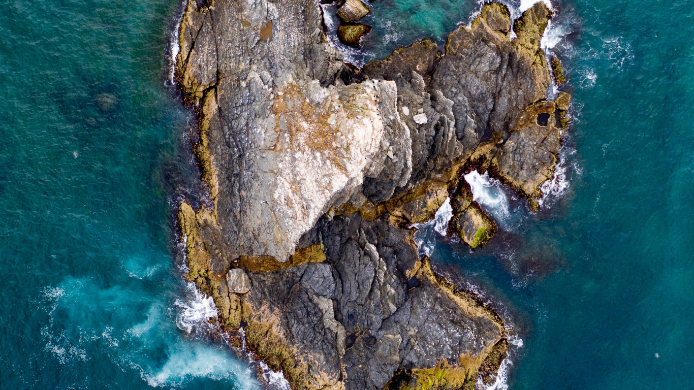 Water, World, Rock, Sea, Tree. Wallpaper in 1366x768 Resolution