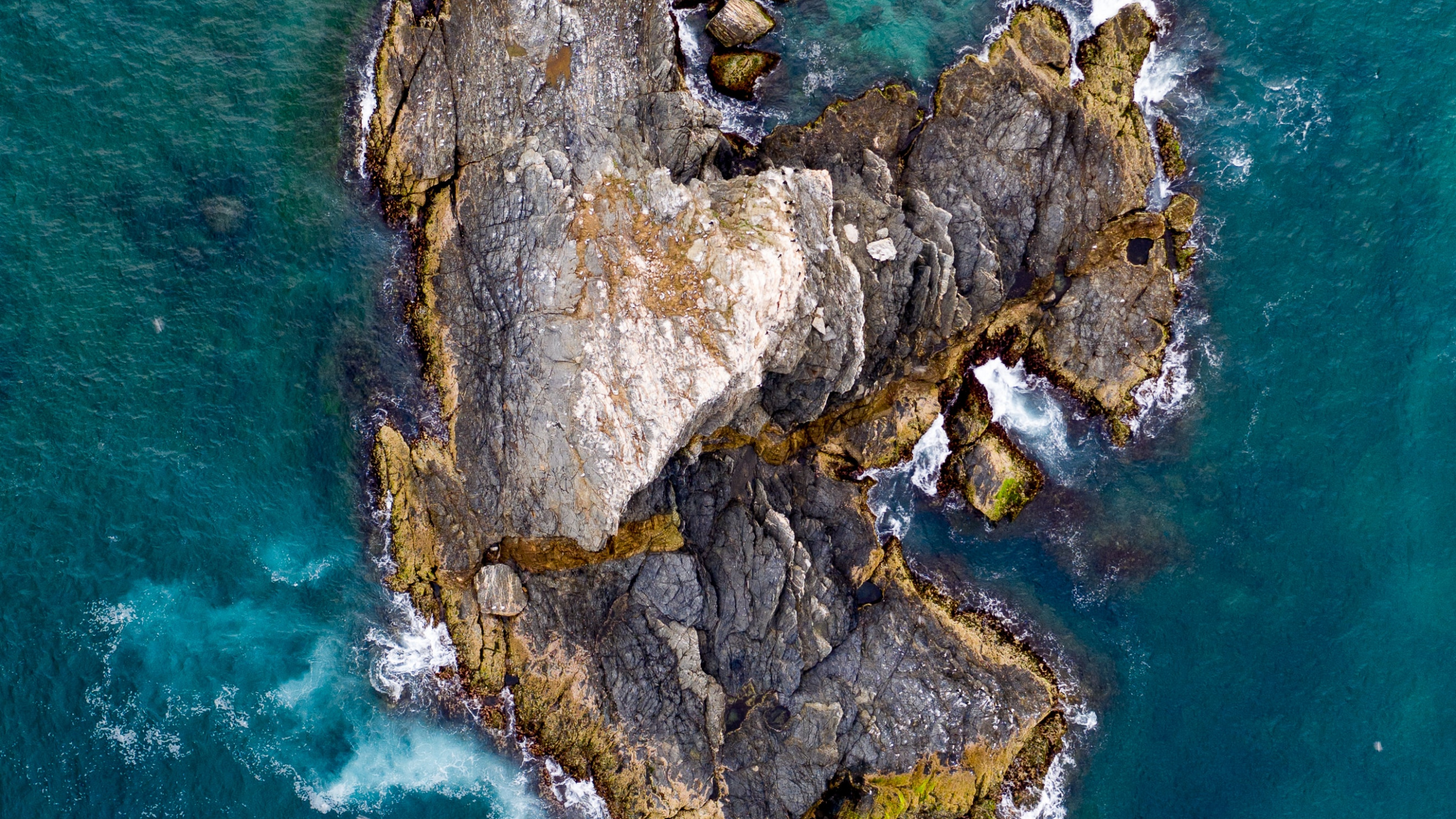 Water, World, Rock, Sea, Tree. Wallpaper in 2560x1440 Resolution