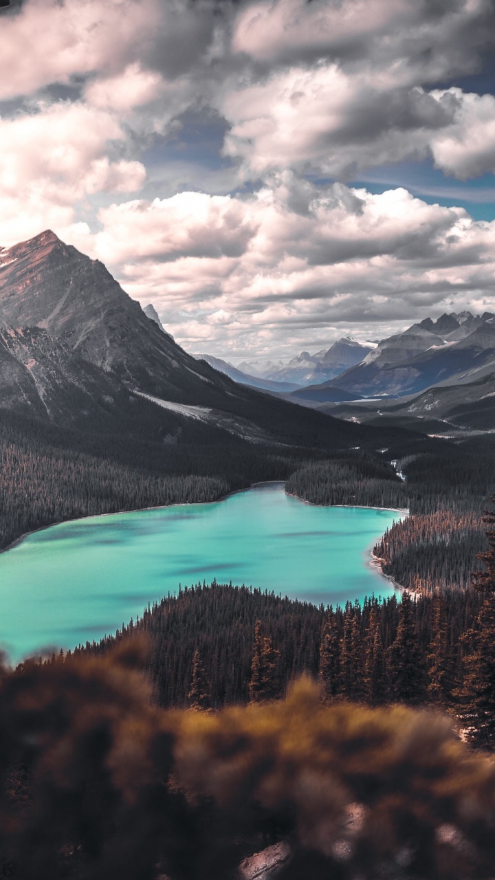 Peyto Lake, Nature, Lake, Mountain, Natural Landscape. Wallpaper in 720x1280 Resolution