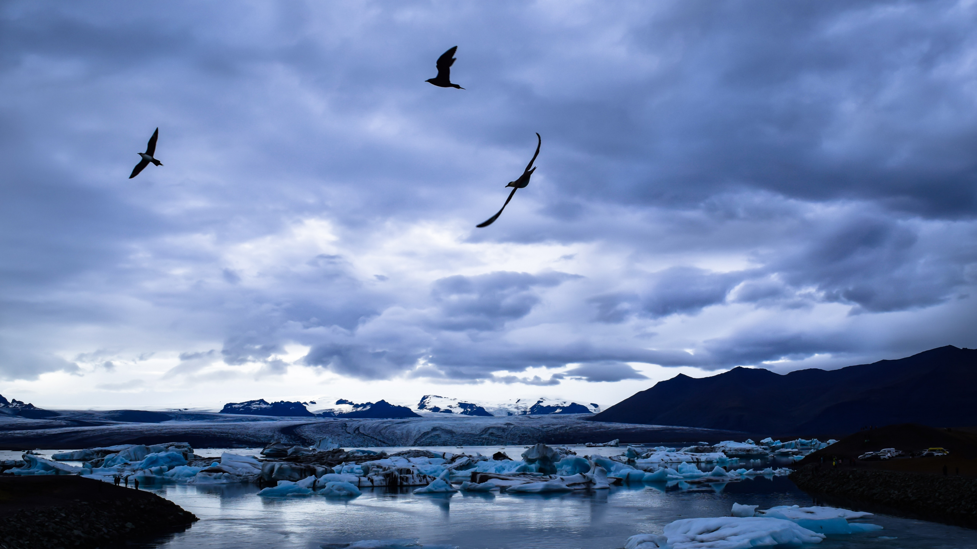 Blue, Eau, Mer, Oiseau, Glace. Wallpaper in 3840x2160 Resolution