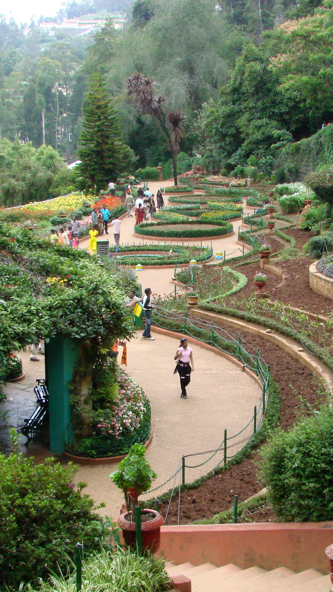 山站, 植物园, 旅行, 花园, 植被 壁纸 1080x1920 允许