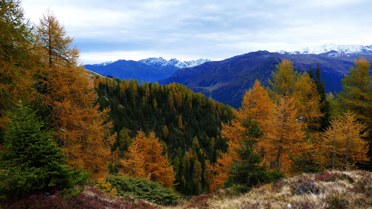 Arbres Verts et Bruns Sur la Montagne Sous Les Nuages Blancs et le Ciel Bleu Pendant la Journée. Wallpaper in 1280x720 Resolution