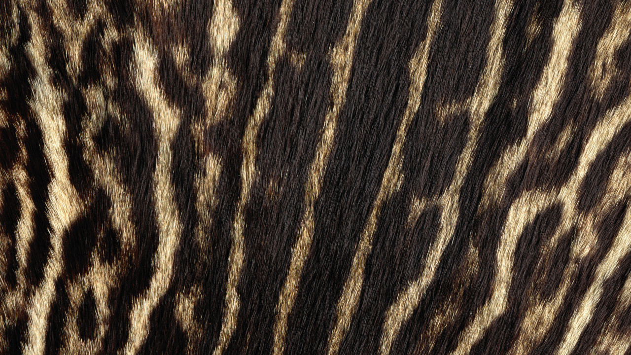 Textil de Rayas Blancas y Negras. Wallpaper in 1280x720 Resolution