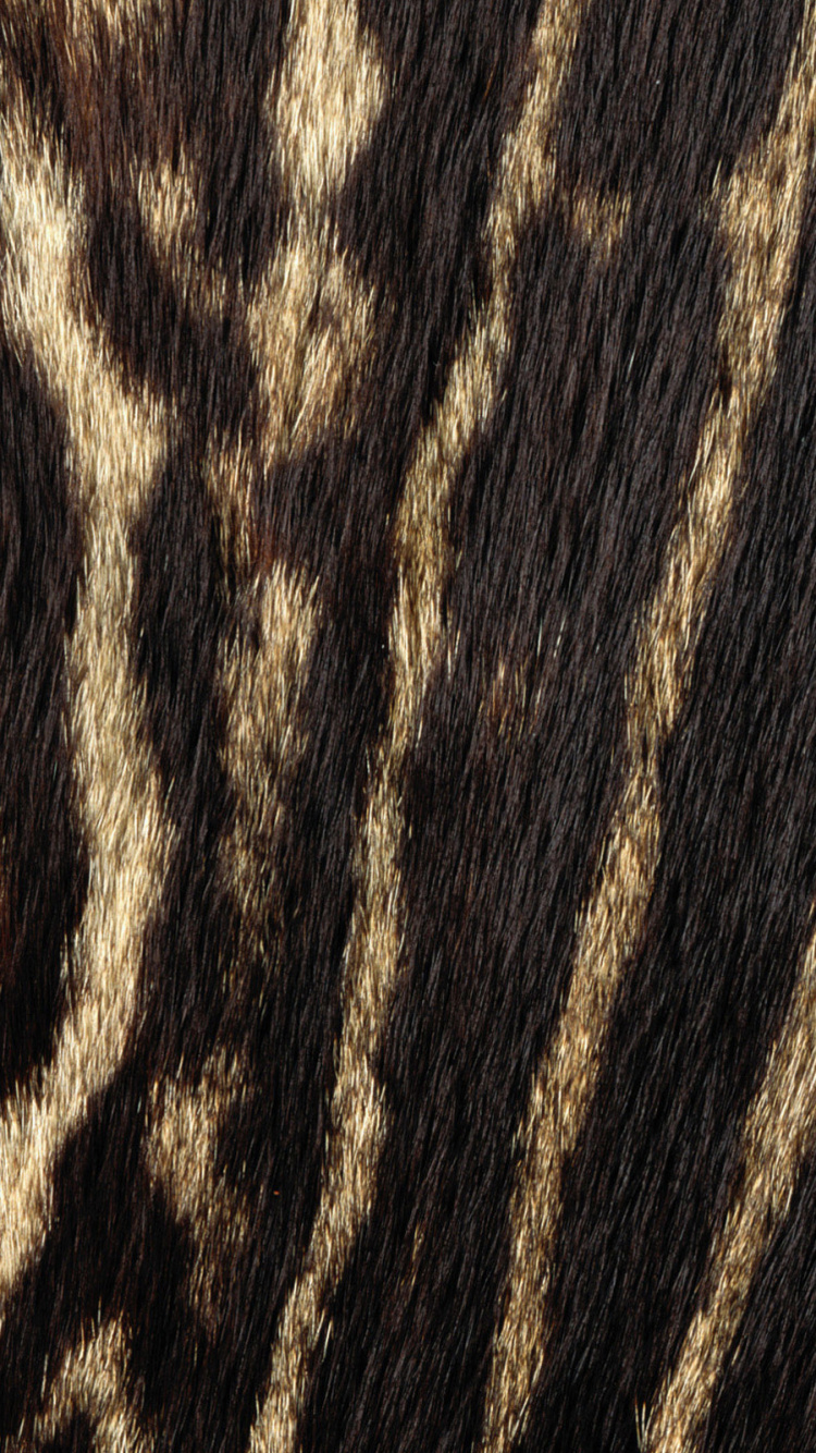 Textil de Rayas Blancas y Negras. Wallpaper in 750x1334 Resolution