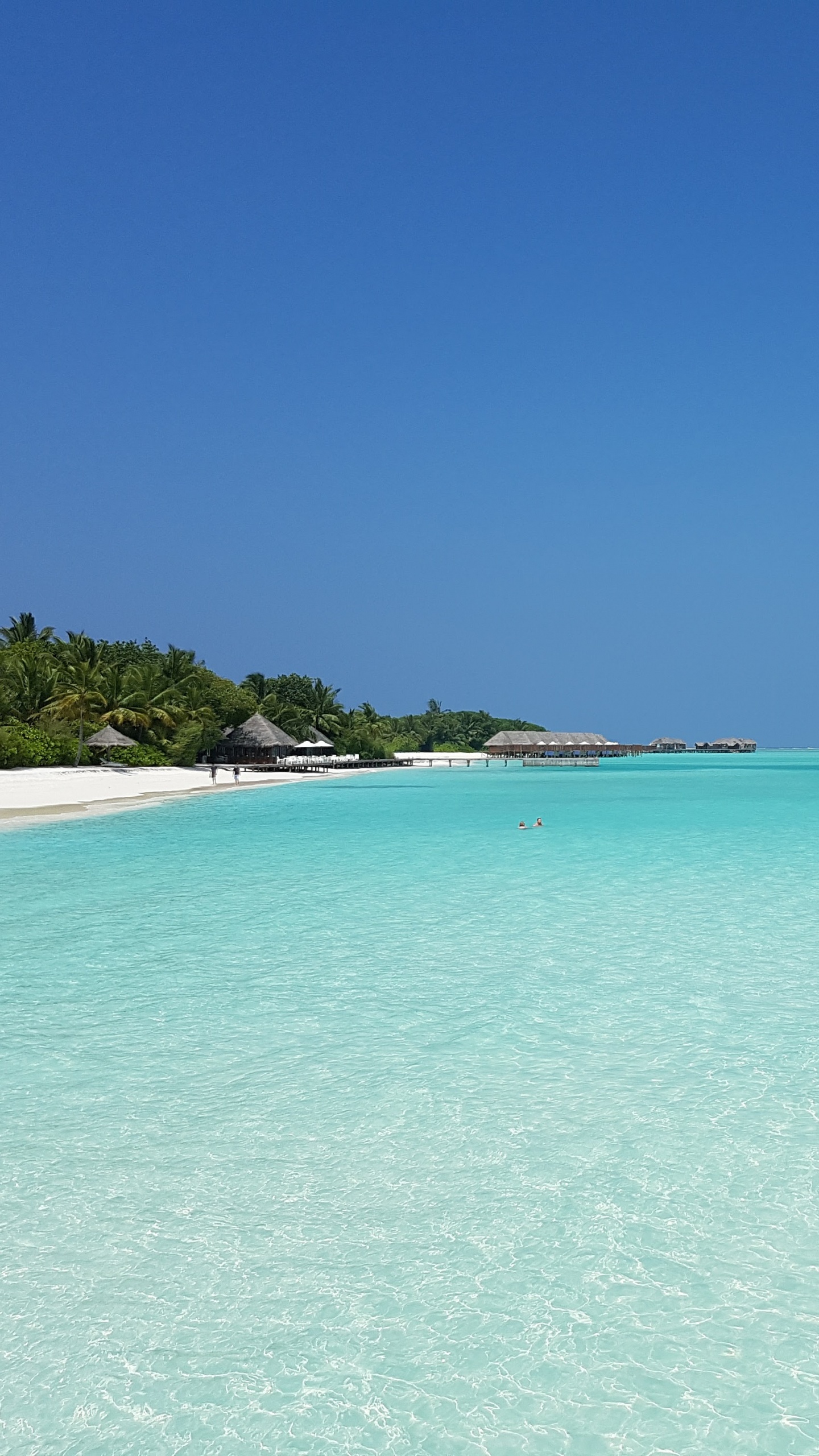 大海, 马尔代夫, 环礁, 度假, Cove 壁纸 1440x2560 允许