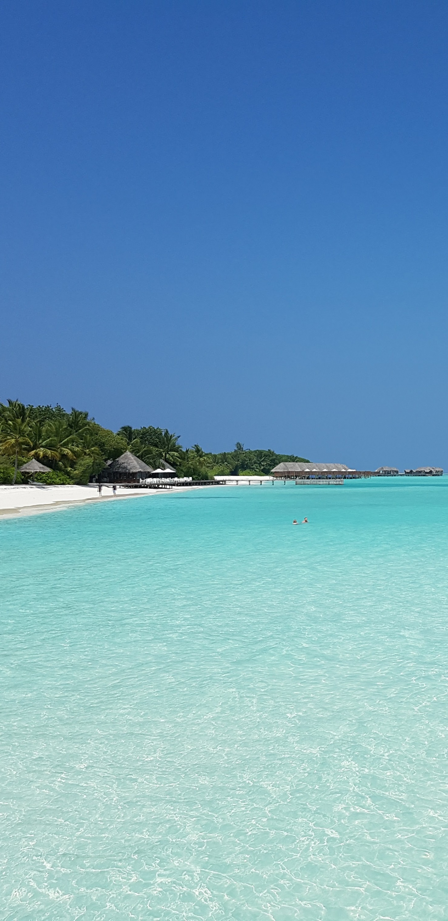 大海, 马尔代夫, 环礁, 度假, Cove 壁纸 1440x2960 允许