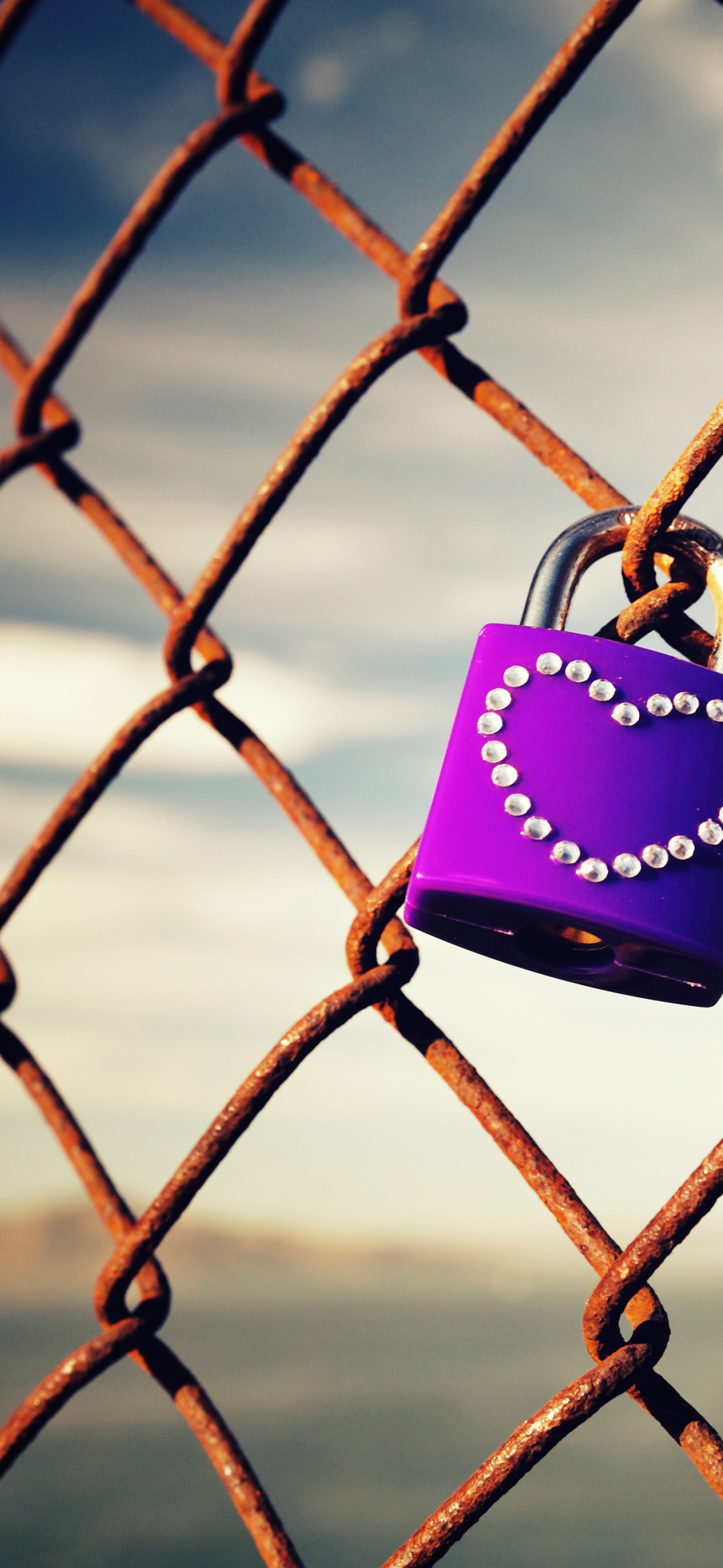 Vallas de Alambre, Malla, Bloqueo, Castillo, Plancha. Wallpaper in 1125x2436 Resolution