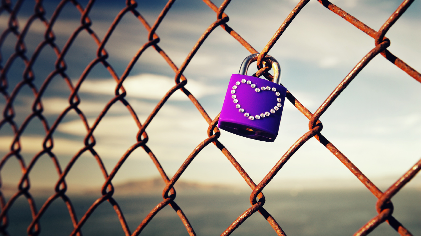 Wire Fencing, Mesh, Lock, Castle, Iron. Wallpaper in 1366x768 Resolution