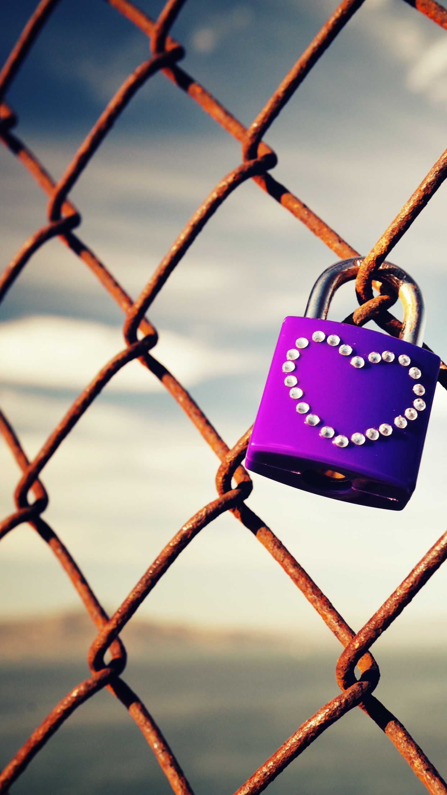 Wire Fencing, Mesh, Lock, Castle, Iron. Wallpaper in 1440x2560 Resolution