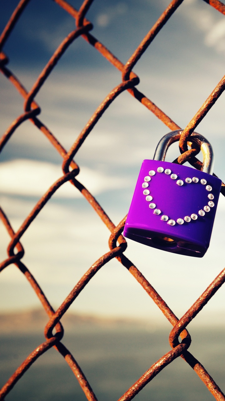 Wire Fencing, Mesh, Lock, Castle, Iron. Wallpaper in 720x1280 Resolution