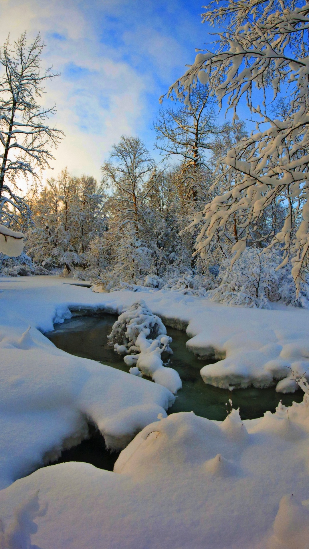 Snow Covered Bare Trees Under Blue Sky During Daytime. Wallpaper in 1080x1920 Resolution