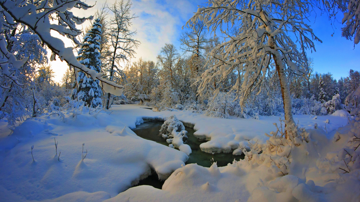 Snow Covered Bare Trees Under Blue Sky During Daytime. Wallpaper in 1366x768 Resolution