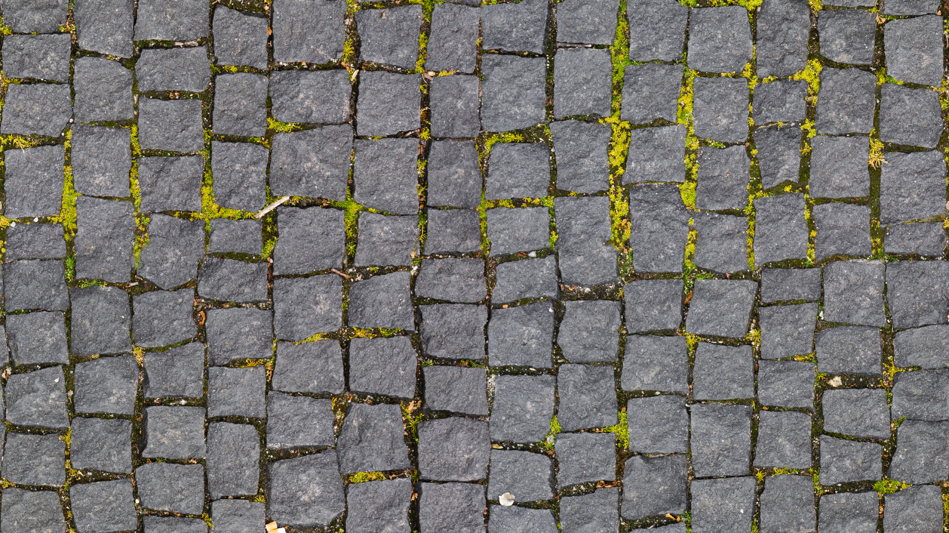 Schwarz-weißer Ziegelboden. Wallpaper in 1920x1080 Resolution