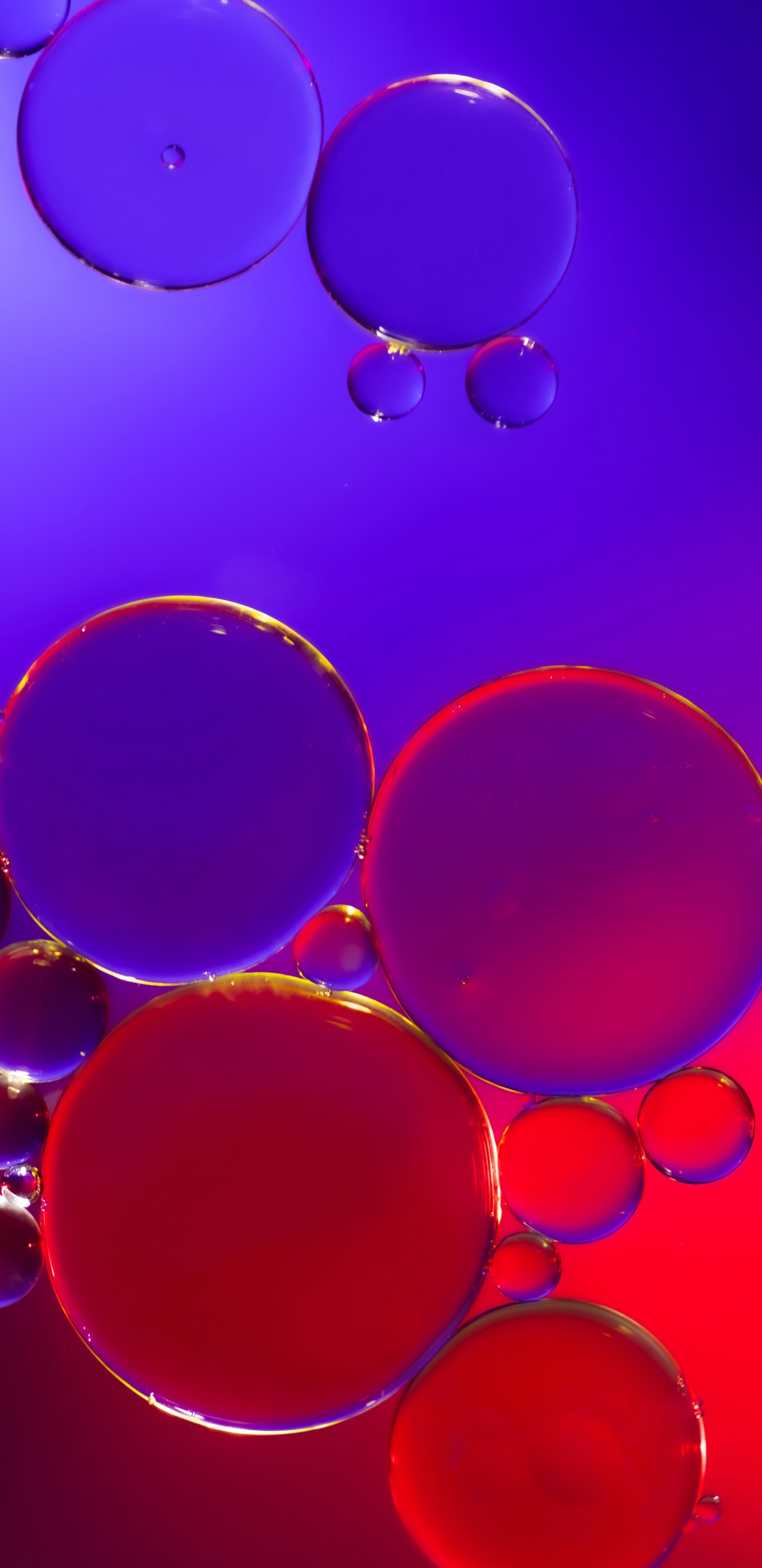 Licht, Wasser, Purpur, Azure, Veilchen. Wallpaper in 1440x2960 Resolution