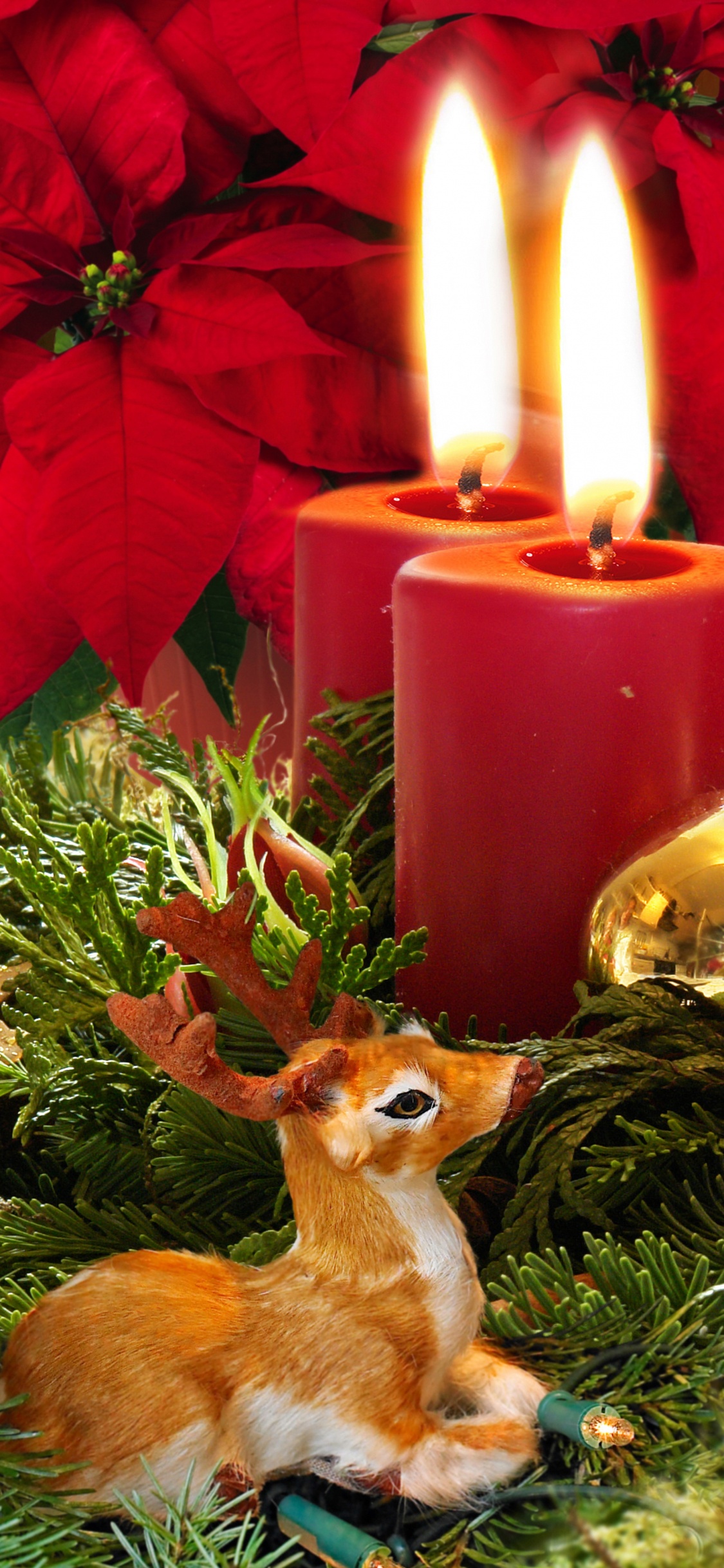 Christmas Day, Candle, Christmas Decoration, Poinsettia, Christmas. Wallpaper in 1125x2436 Resolution