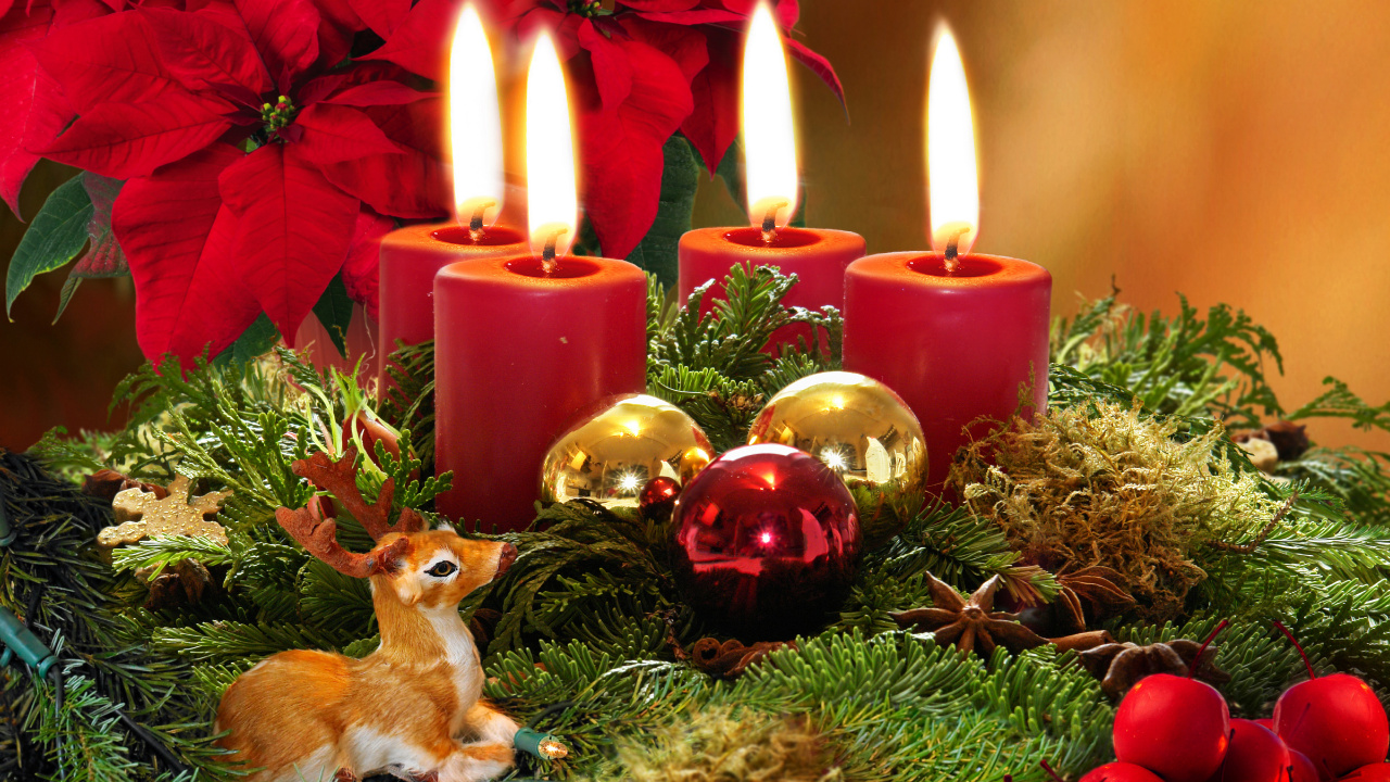 Christmas Day, Candle, Christmas Decoration, Poinsettia, Christmas. Wallpaper in 1280x720 Resolution