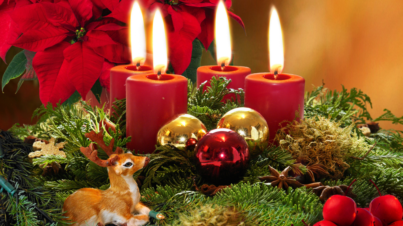 Christmas Day, Candle, Christmas Decoration, Poinsettia, Christmas. Wallpaper in 1366x768 Resolution