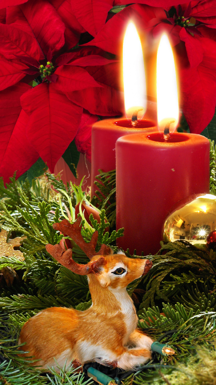 Christmas Day, Candle, Christmas Decoration, Poinsettia, Christmas. Wallpaper in 750x1334 Resolution