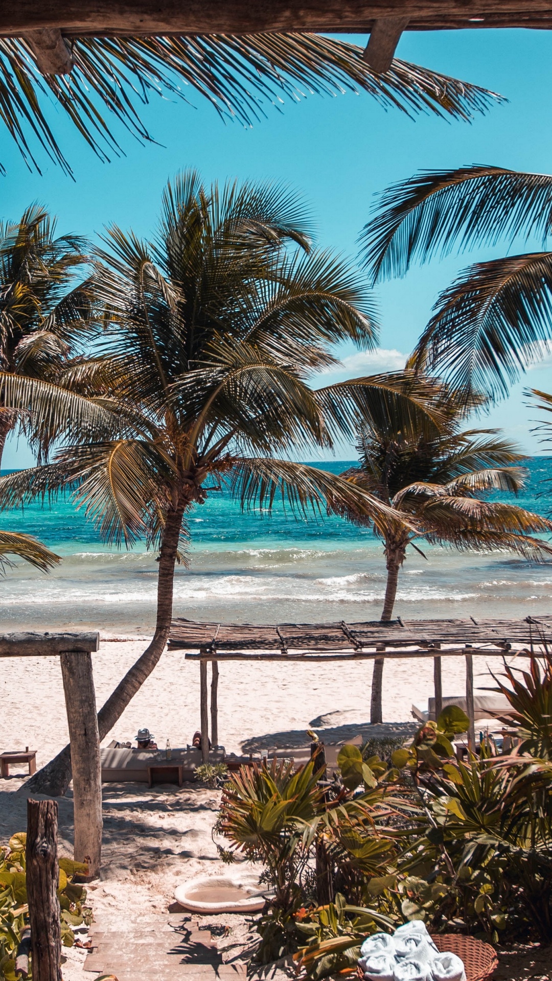 Palm Trees Near Body of Water During Daytime. Wallpaper in 1080x1920 Resolution