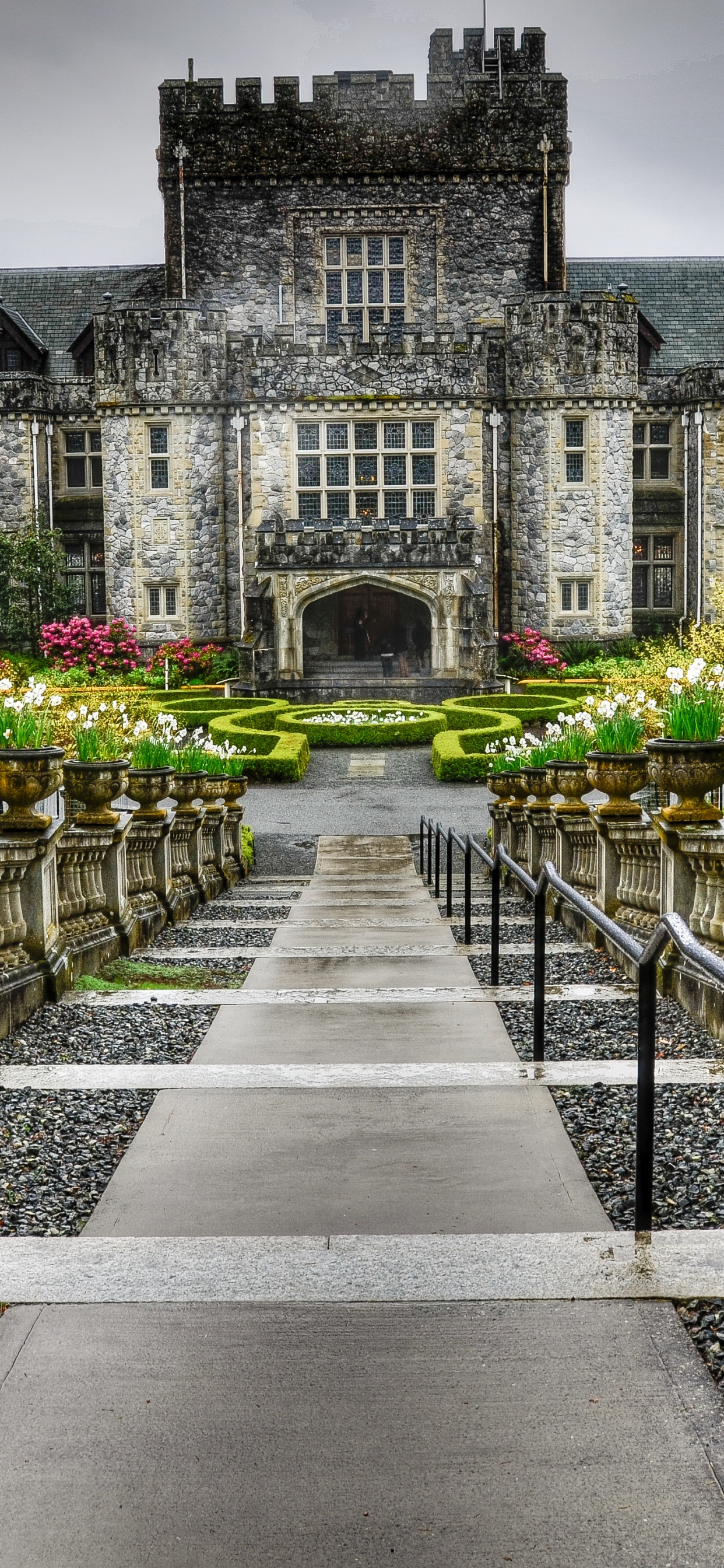 Grey Concrete Building With Green Plants. Wallpaper in 1242x2688 Resolution