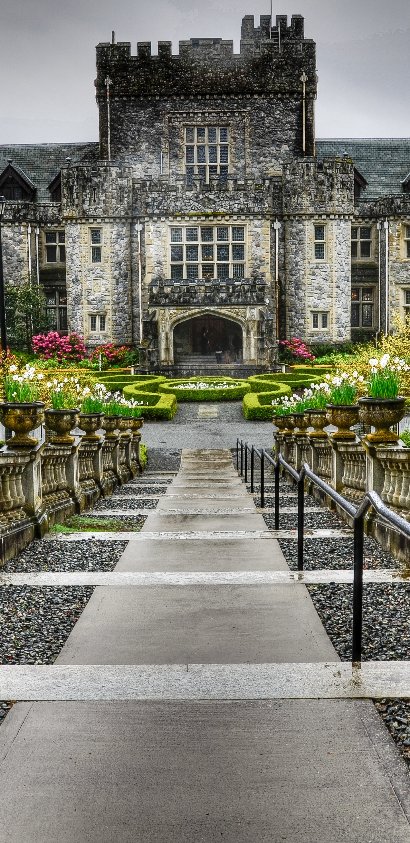 Grey Concrete Building With Green Plants. Wallpaper in 1440x2960 Resolution