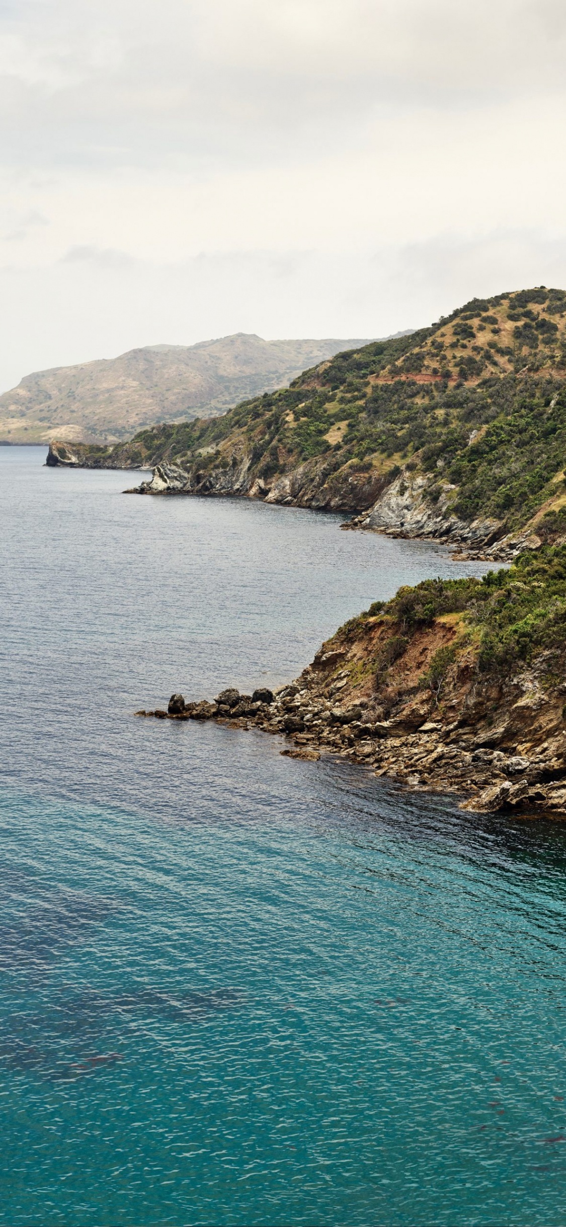 Apple, IPhone, MacOS Catalina, Apples, Ios. Wallpaper in 1125x2436 Resolution