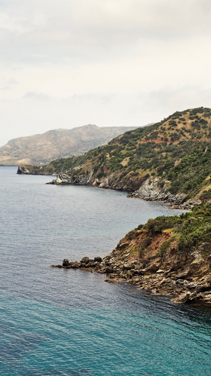 Apple, IPhone, MacOS Catalina, Manzana, Ios. Wallpaper in 720x1280 Resolution