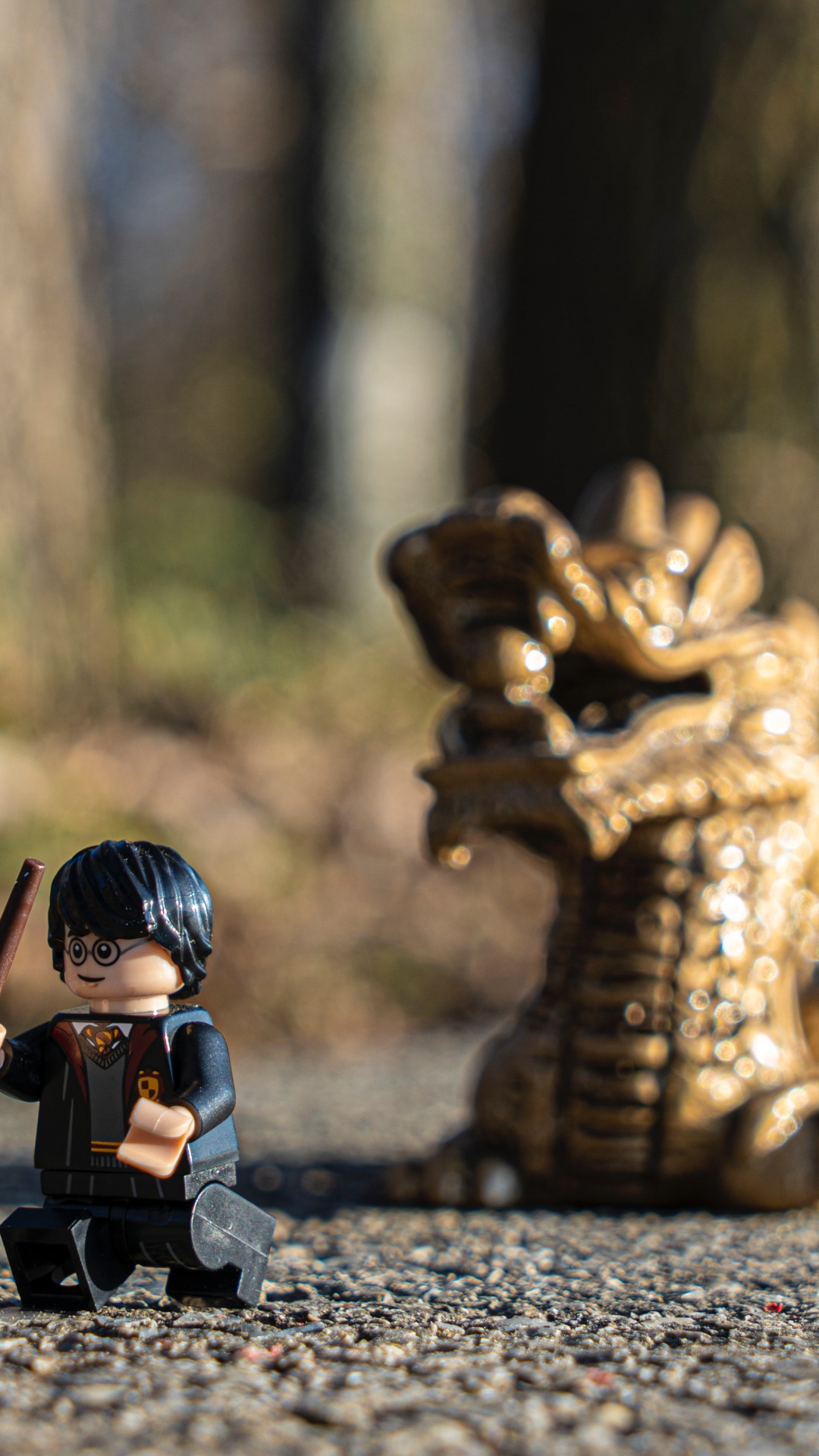 Ensembles de Lego Harry Potter, Lego, Harry Potter, Asphalt, Surface de la Route. Wallpaper in 1080x1920 Resolution