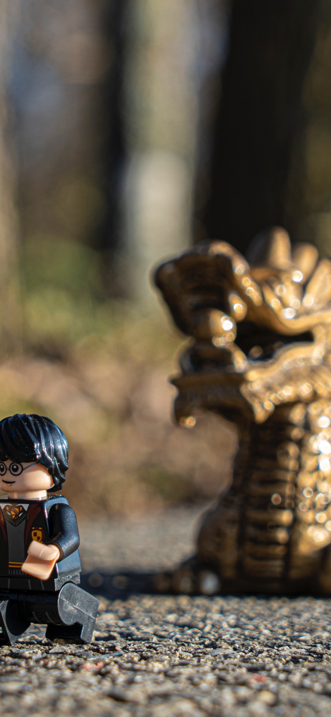 Juegos de Lego Harry Potter, Lego, Harry Potter, Madera, Asfalto. Wallpaper in 1125x2436 Resolution